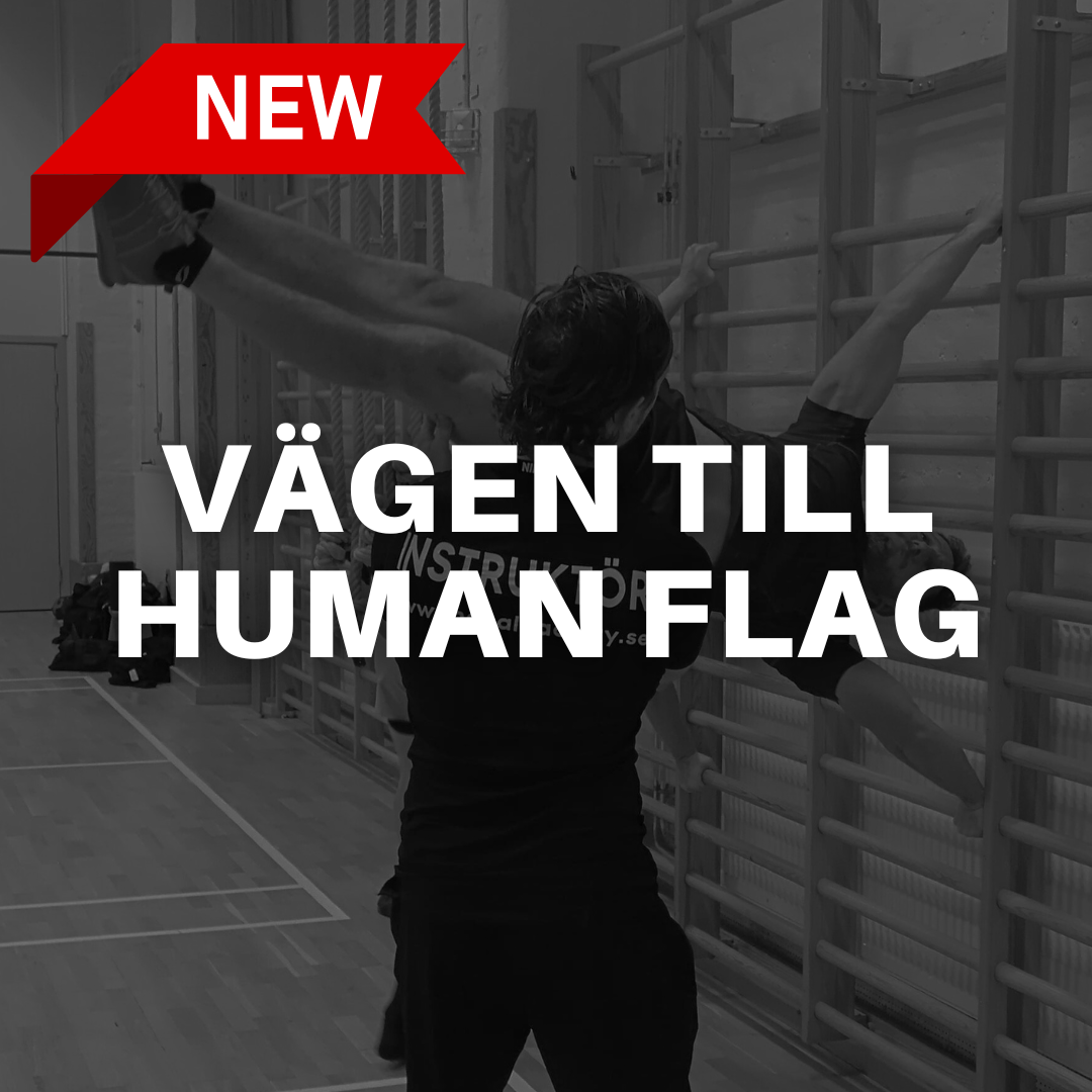 VÄGEN TILL HUMAN FLAG