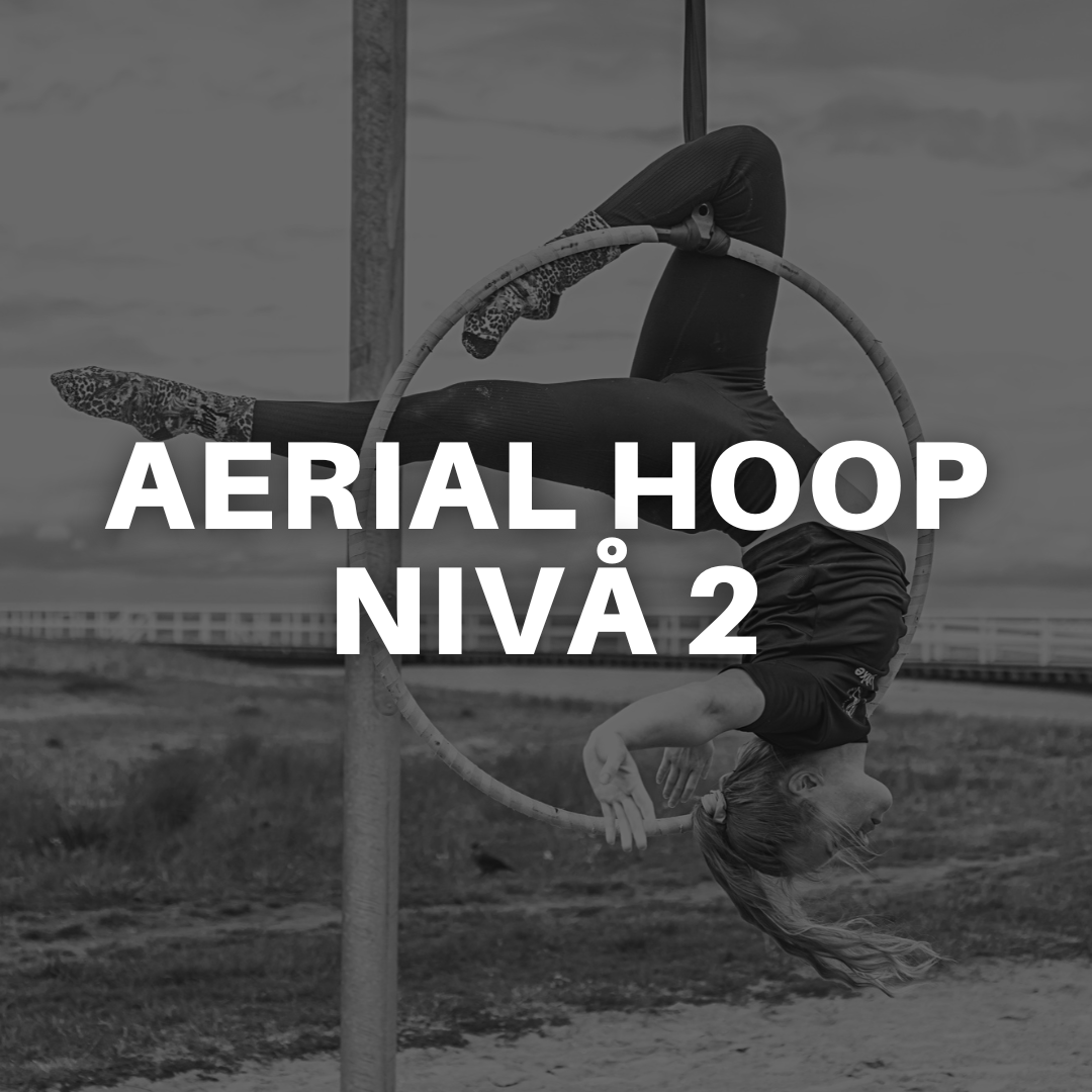 AERIAL HOOP NIVÅ 2