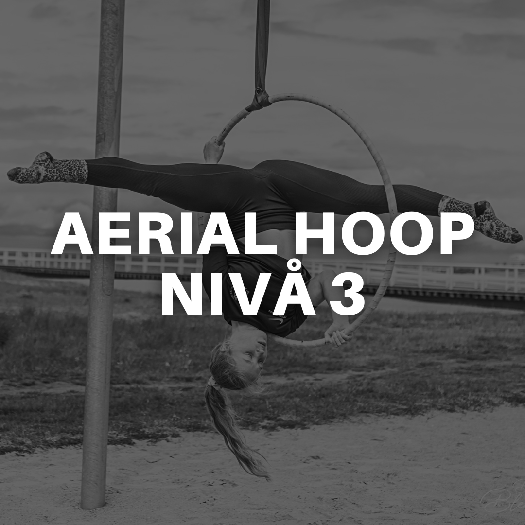 AERIAL HOOP NIVÅ 3