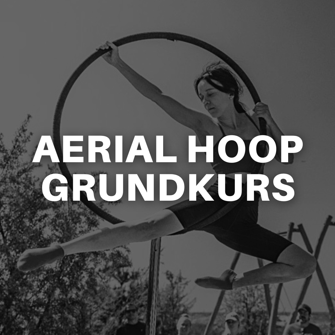 AERIAL HOOP GRUNDKURS
