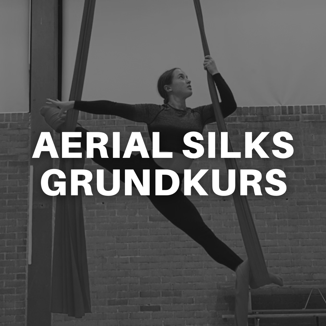 AERIAL SILKS GRUNDKURS