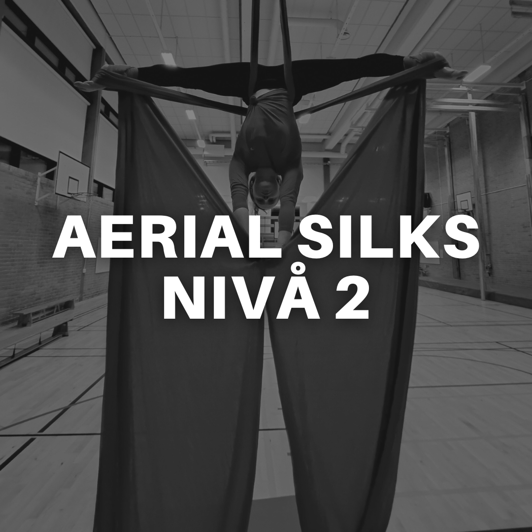 AERIAL SILKS NIVÅ 2