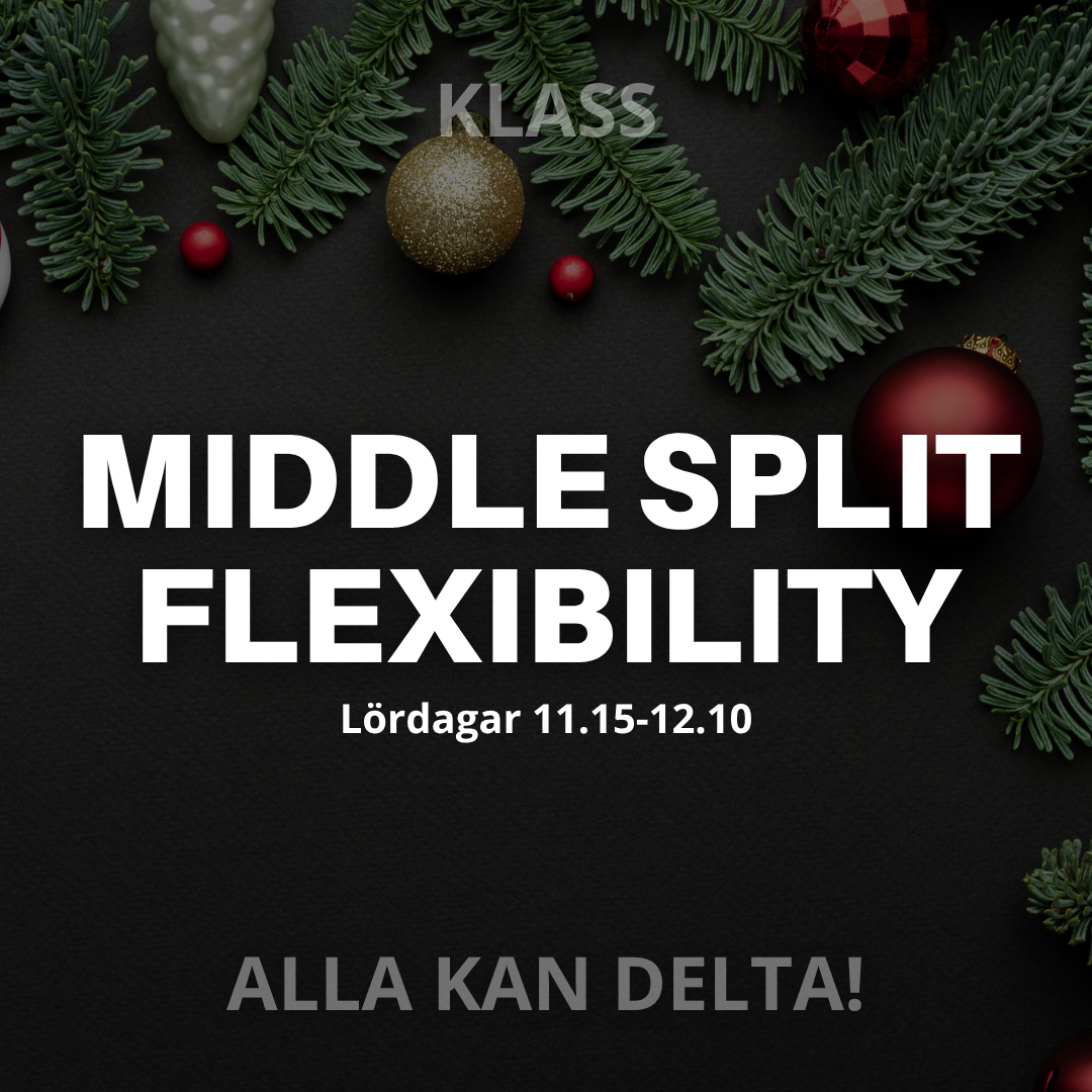 MIDDLE SPLIT FLEXIBILITY