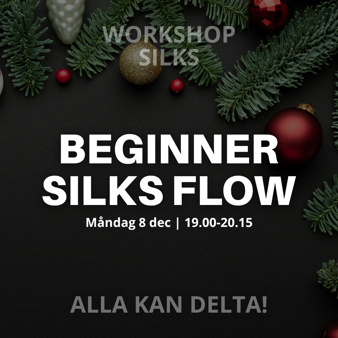 BEGINNER SILKS FLOW