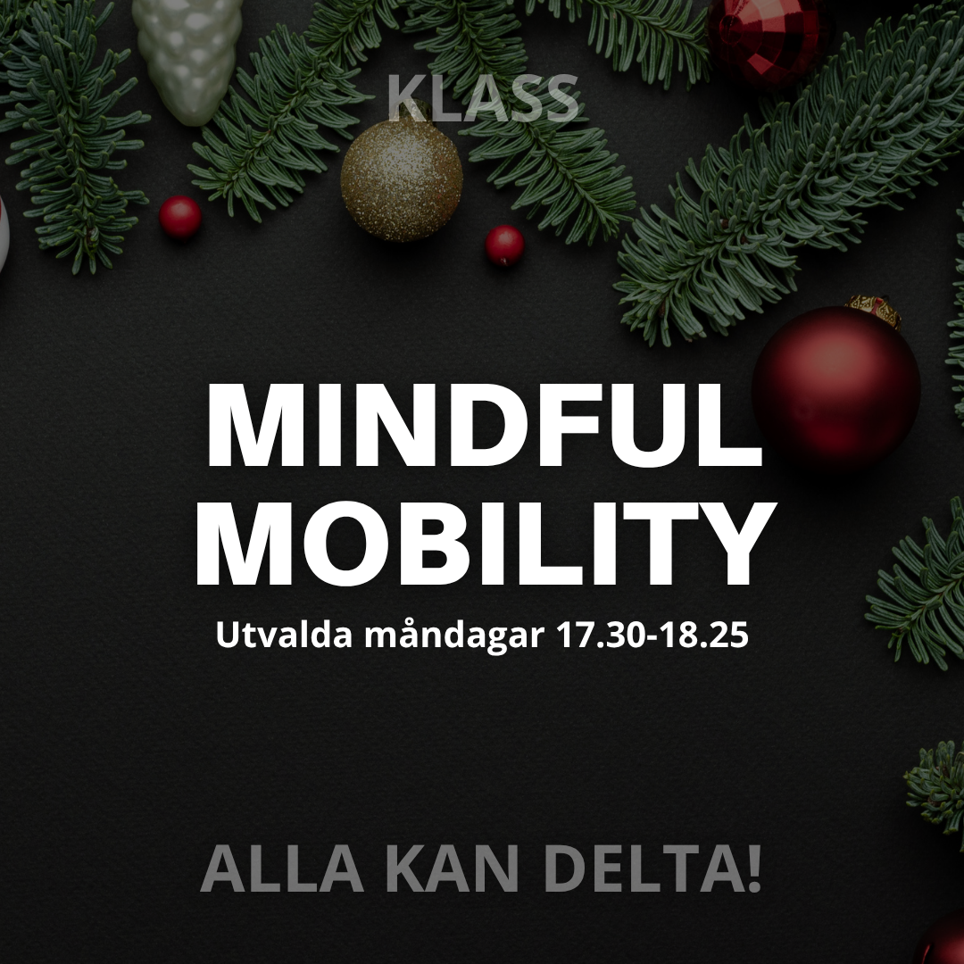 MINDFUL MOBILITY